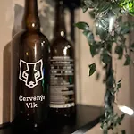 Nelis Klinovec Lejlighed Loučná pod Klínovcem