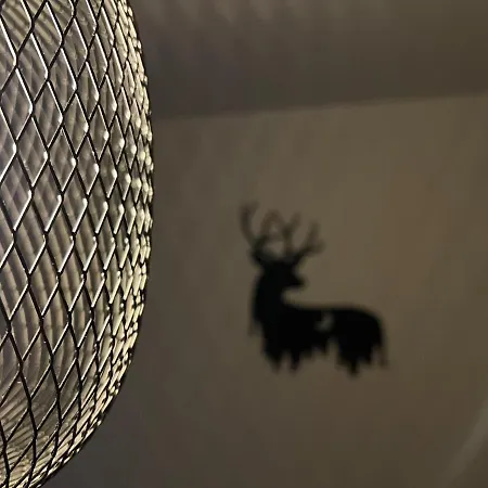Nelis Klinovec Lejlighed Loučná pod Klínovcem